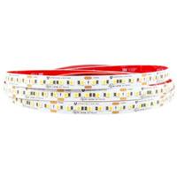 American Lighting 16.4' 2.19 watt (per foot) 24 volt 3000K LED Tape Light Kit